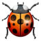 Lady Beetle emoji on Apple